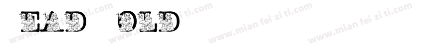 Read Bold字体转换